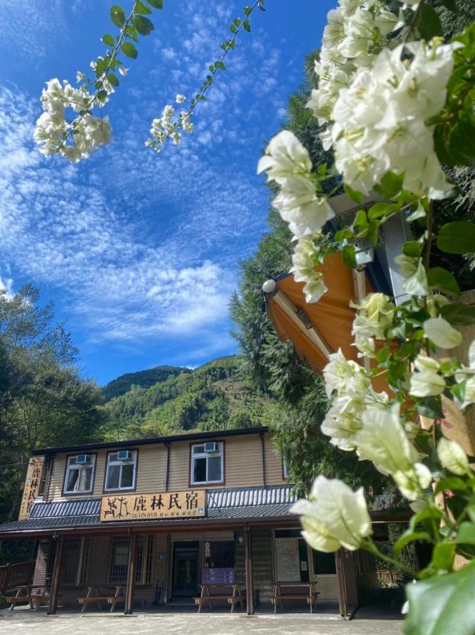 Lu-Lin B&B Wufeng  Buitenkant foto